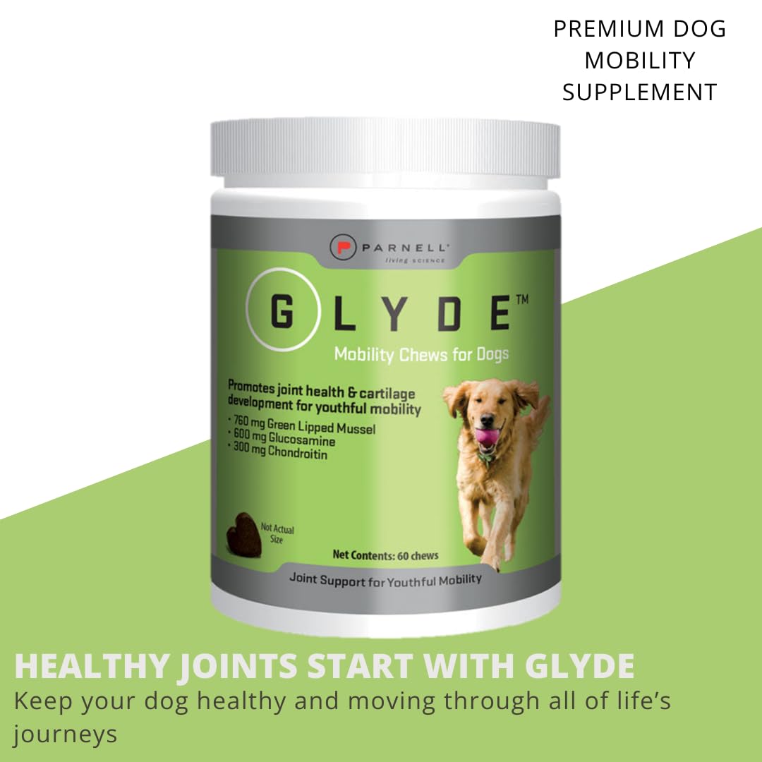 Hip & Joint Supplement for Dogs, 120 Chews K7972