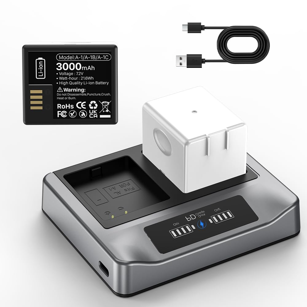 2-Pack Rechargeable Batteries with Charging Station J872