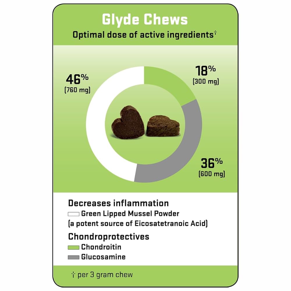 Hip & Joint Supplement for Dogs, 120 Chews K7972
