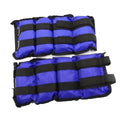 10 LB Adjustable Ankle & Wrist Weights D6309