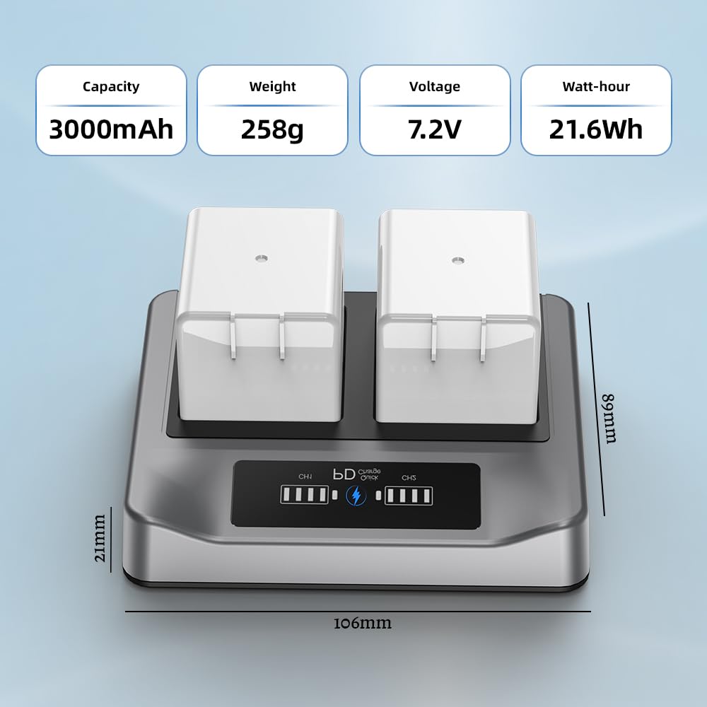 2-Pack Rechargeable Batteries with Charging Station J872