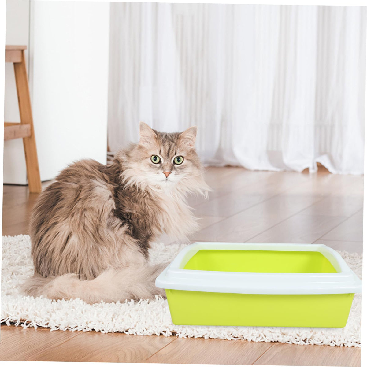 Cat Litter Box D283