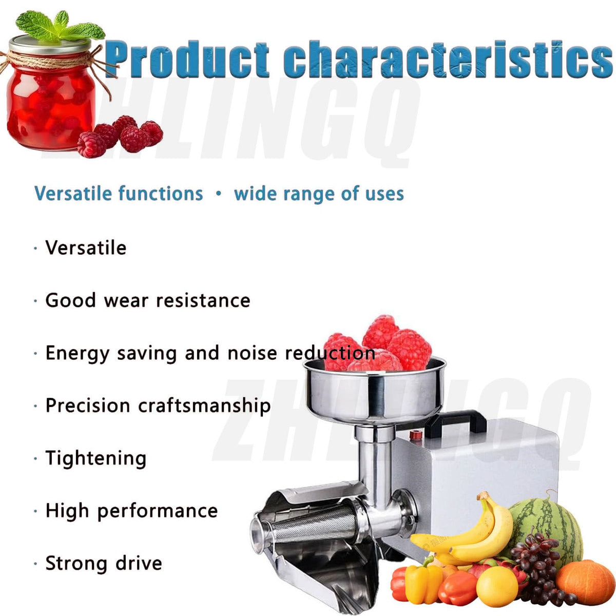 450W Stainless Steel Electric Tomato Strainer O265