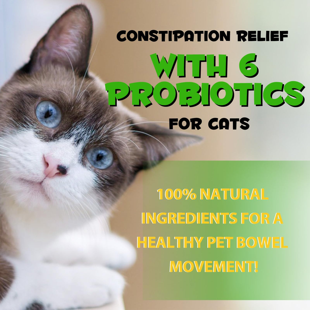 Cat Constipation Relief 2 fl.oz W530