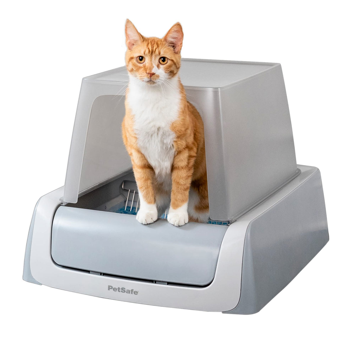 Self-Cleaning Litter Box G206805