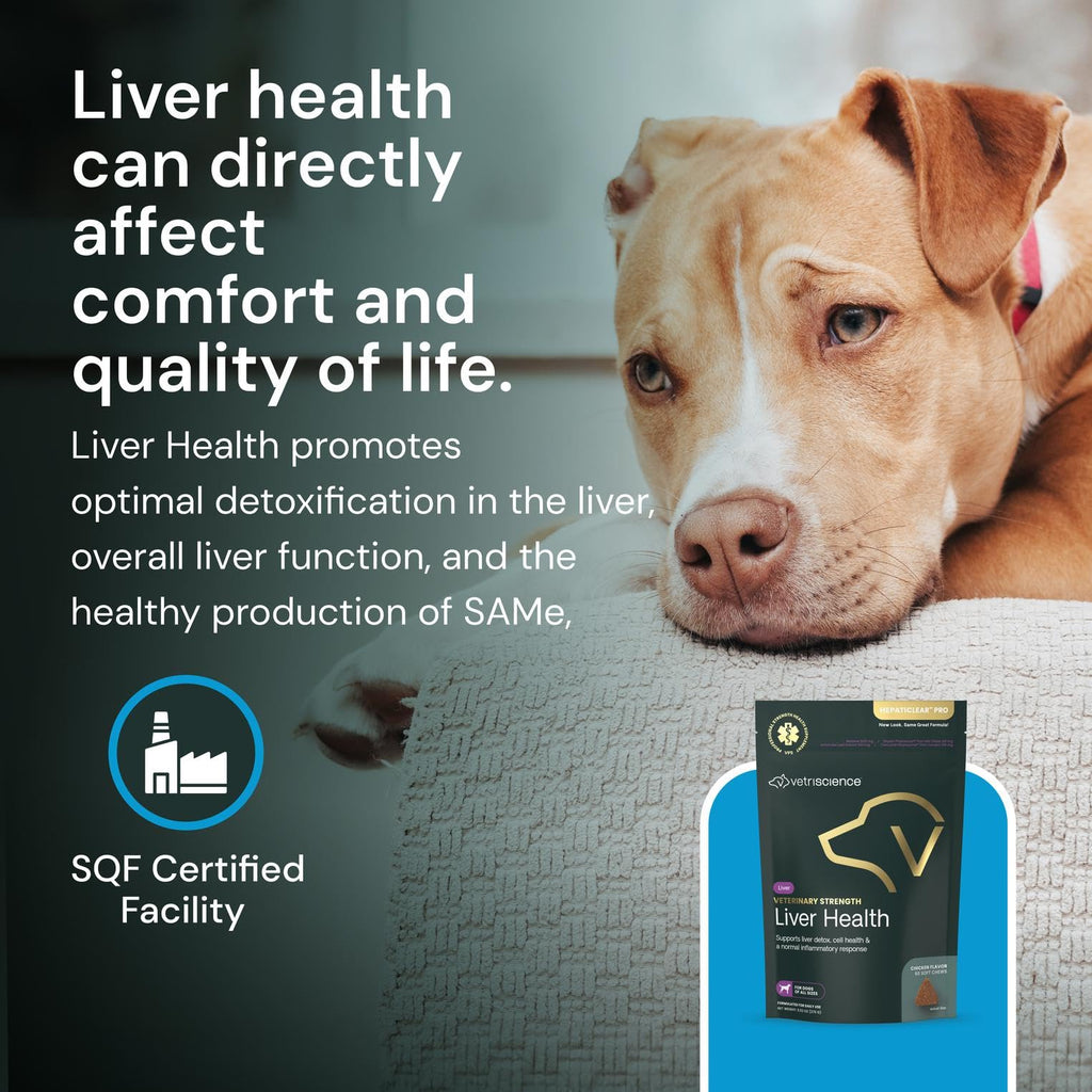 Liver Health Chews 60 Count T332313