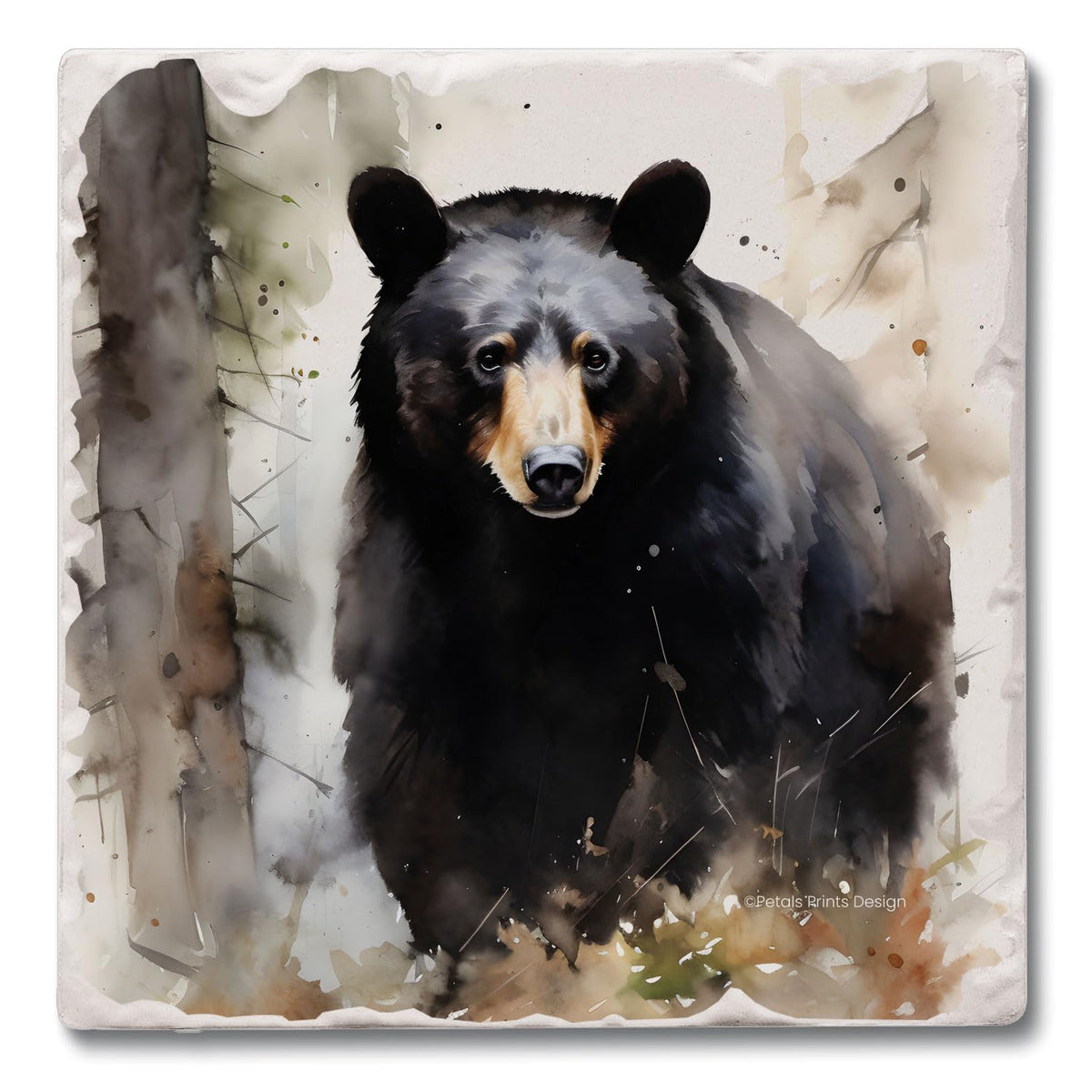 Absorbent Stone Coasters, Set of 4 V6578
