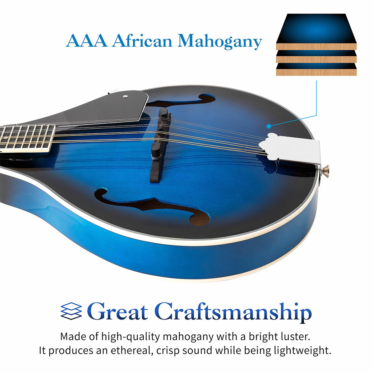 8 String Acoustic Mandolin T53758