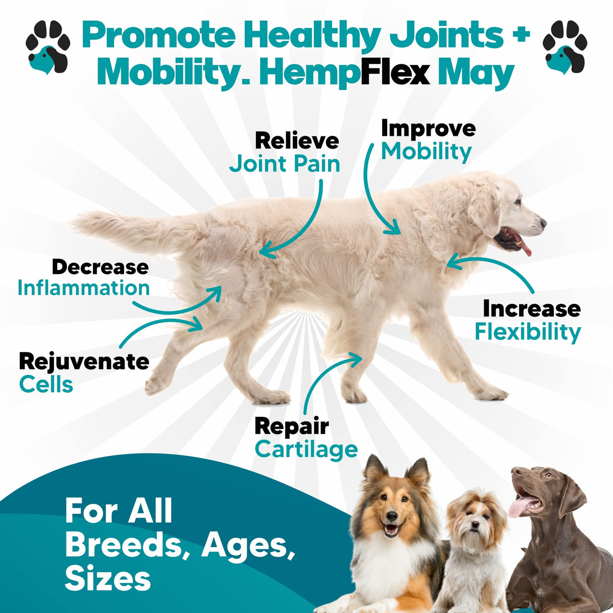 Glucosamine for Dogs Hip and Joint Supplement Soft Chews F71143