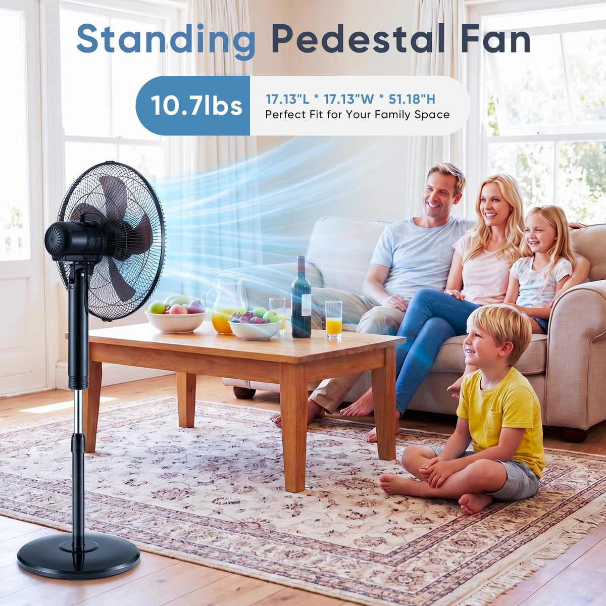 17" Oscillating Pedestal Fan with Remote O689