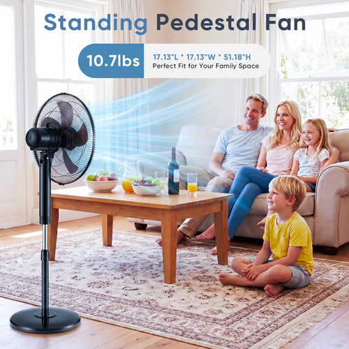 17" Oscillating Pedestal Fan with Remote O689