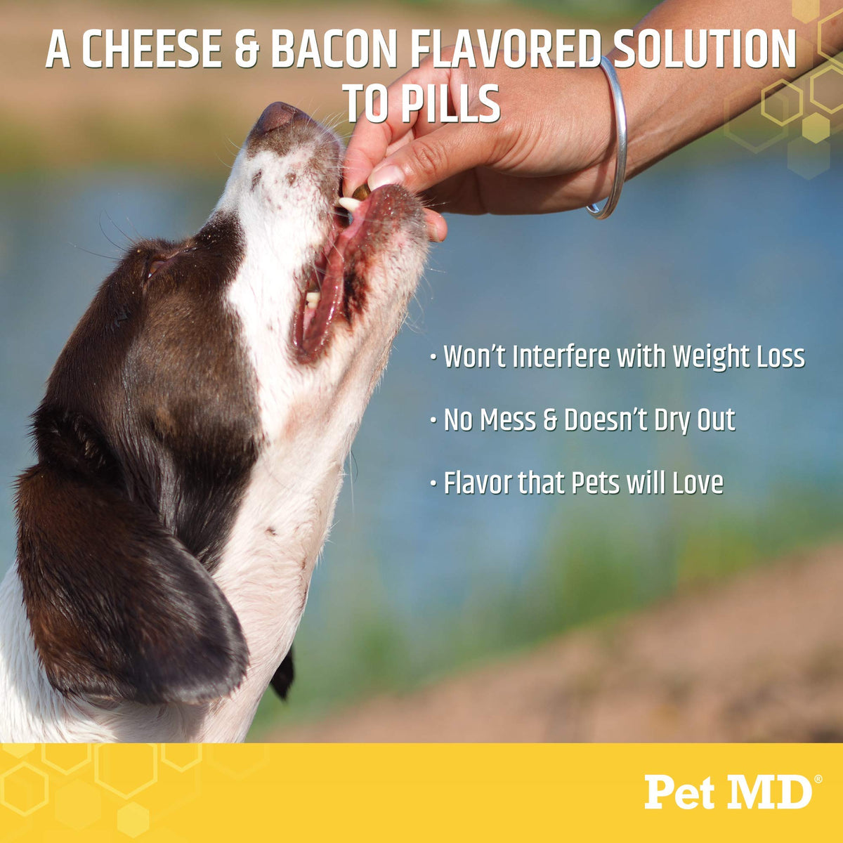 Cheese & Bacon Flavor Pill Paste for Dogs 4.2 oz S39450