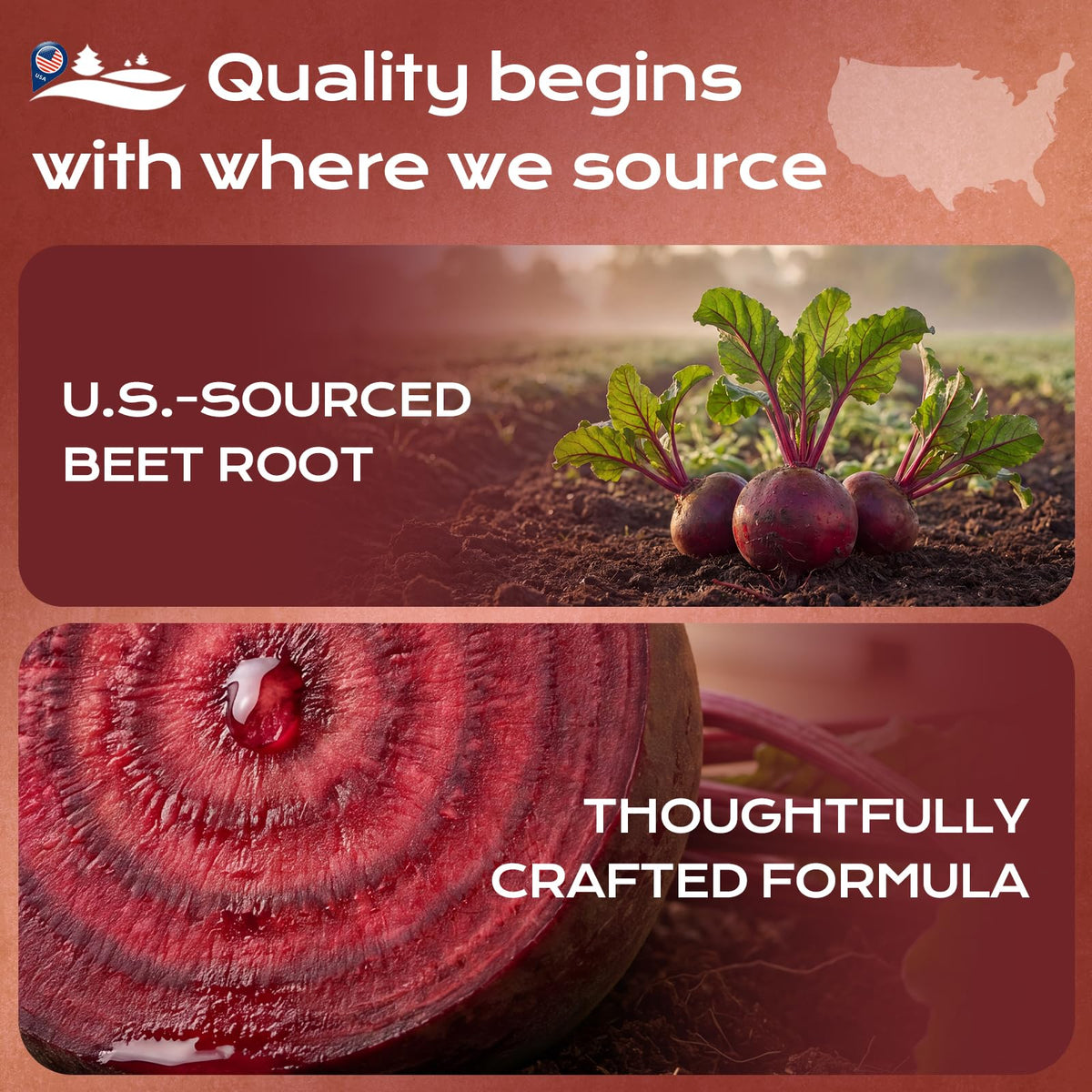 Beet Root Gummies with Grape Seed & CoQ10 V941462
