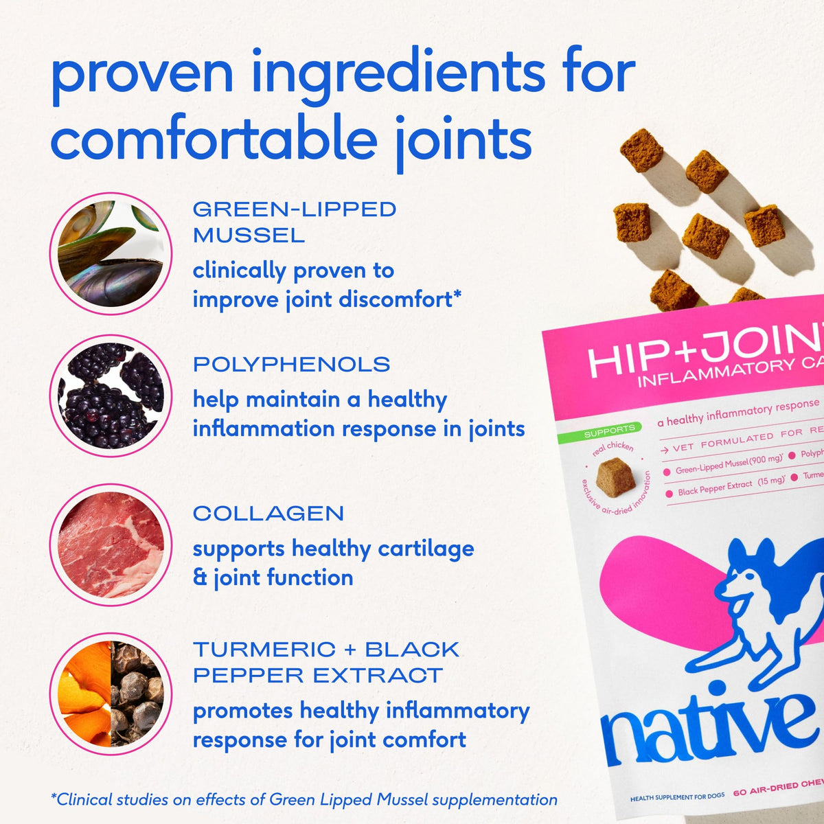 Green-Lipped Mussel Turmeric Collagen Hip and Joint Supplement for Dogs 120 Chews A532115