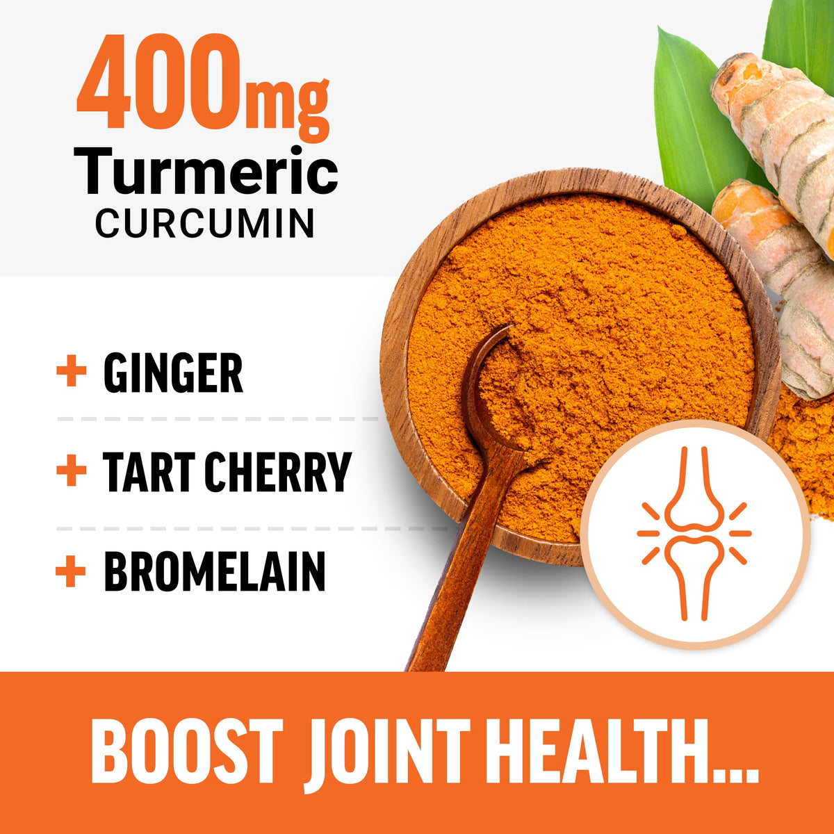 Turmeric Supplement H425