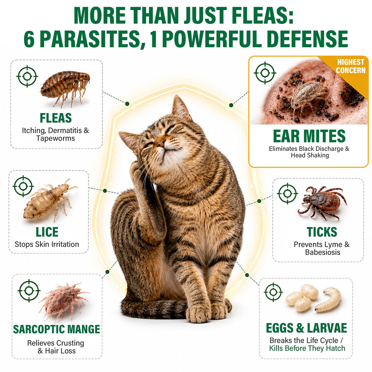 Flea and Tick Drops for Cats 6 Pack Z29838