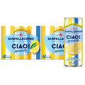 24 Pack Sparkling Water B169568