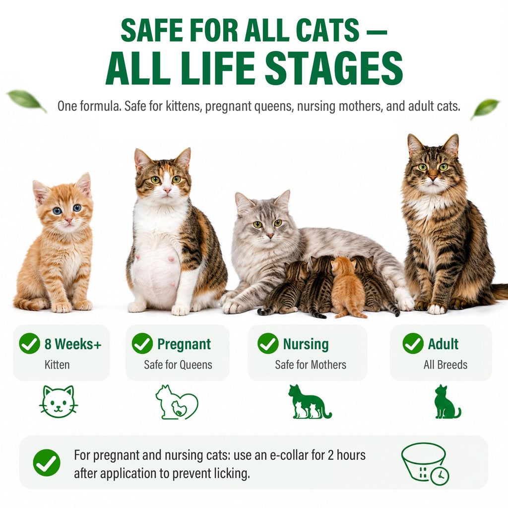 Flea and Tick Drops for Cats 6 Pack Z29838