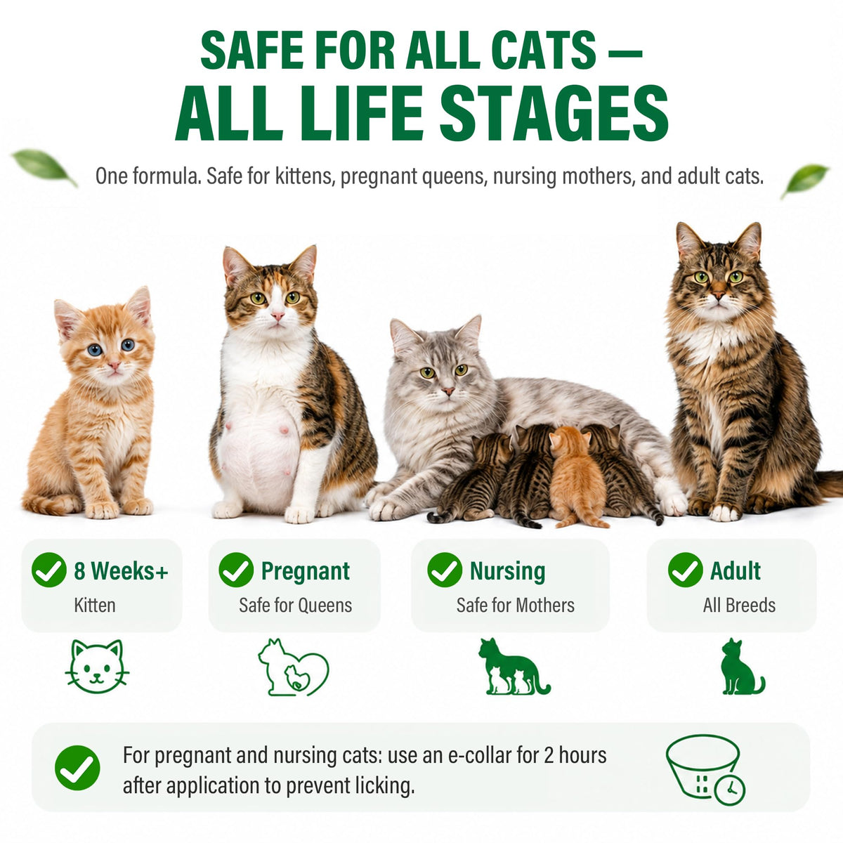 Flea and Tick Drops for Cats 6 Pack Z29838