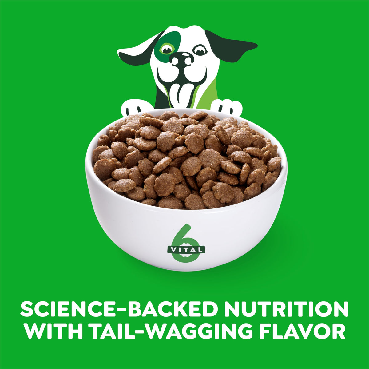 Chicken & Rice Dry Dog Food 15 lb E715562