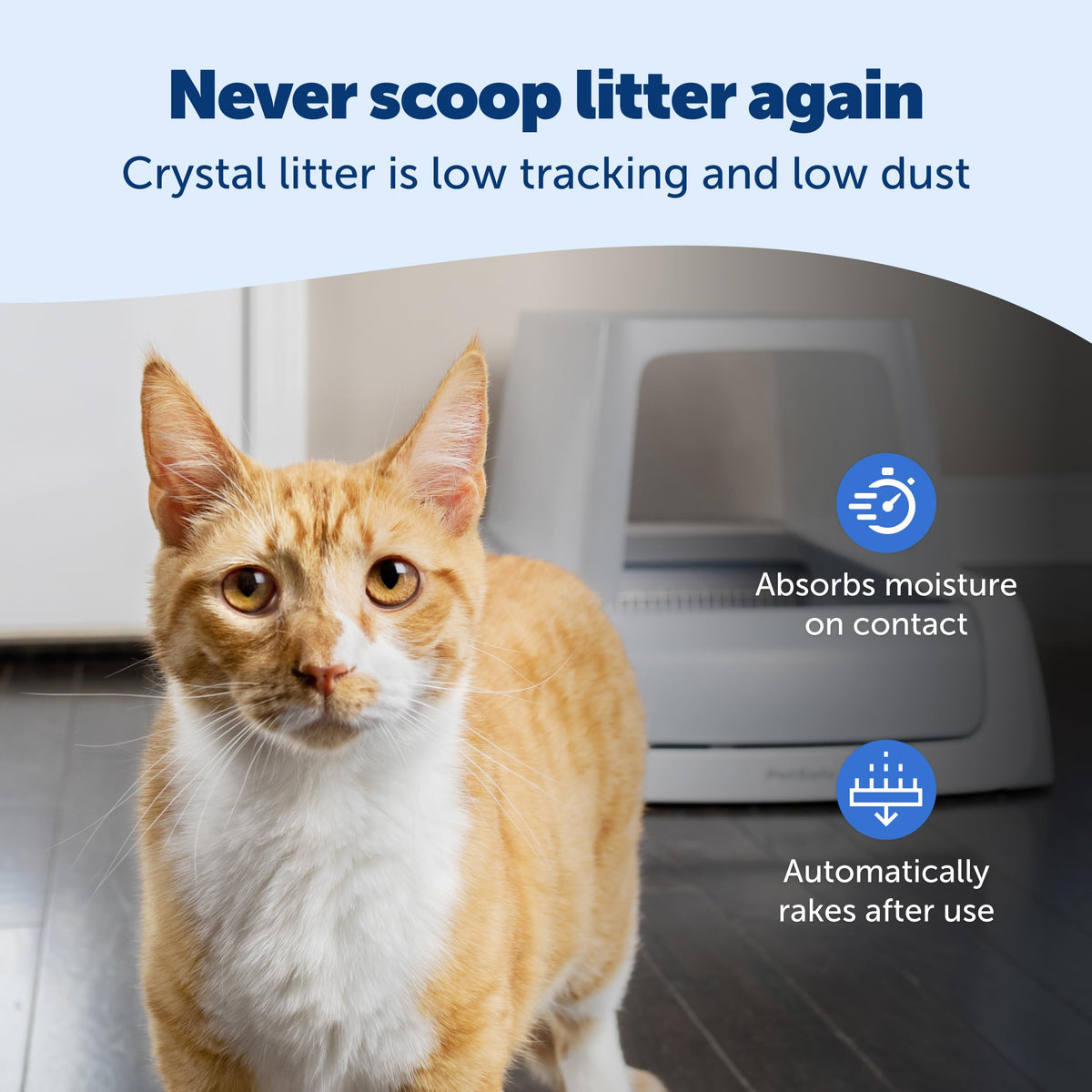 Self-Cleaning Litter Box G206805
