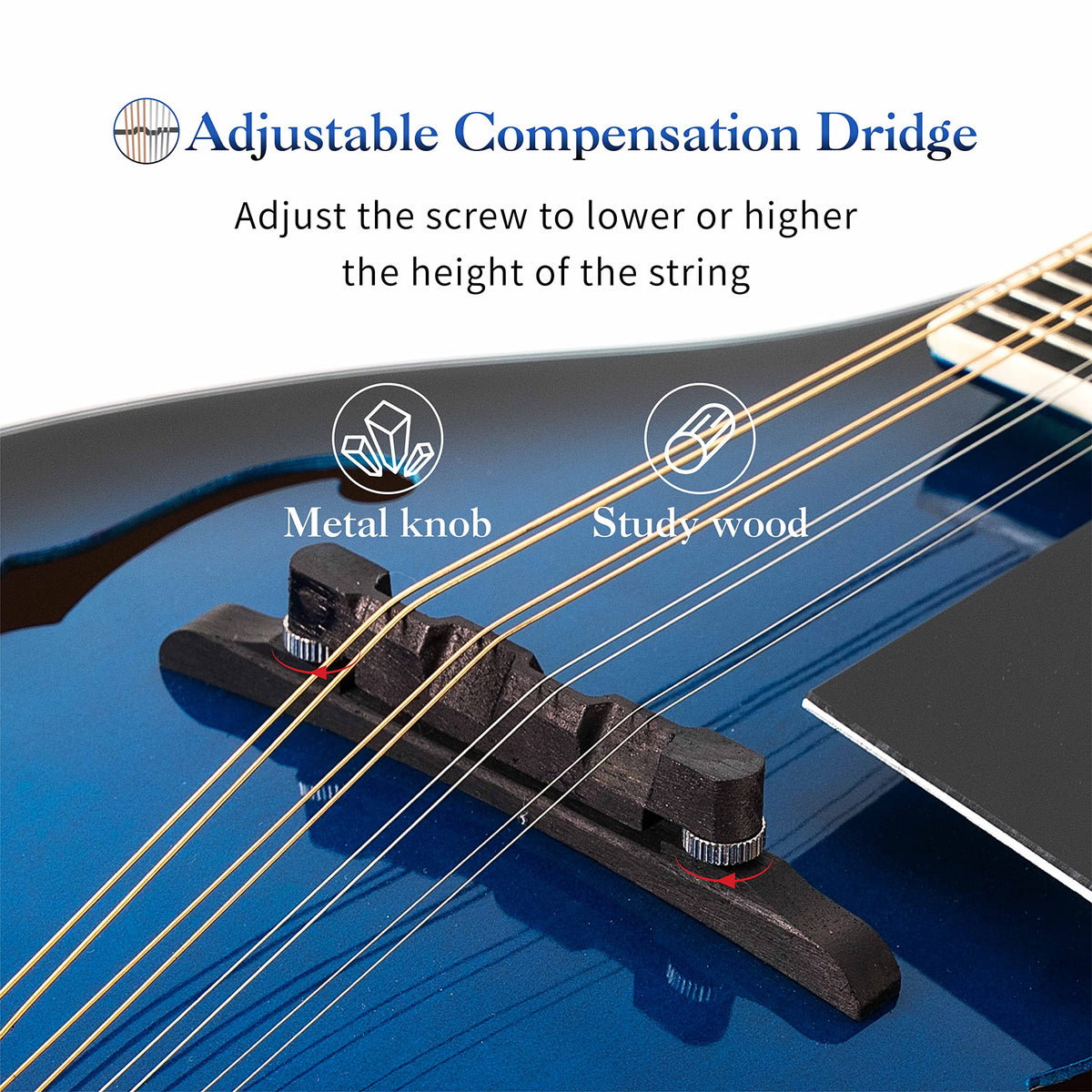 8 String Acoustic Mandolin T53758